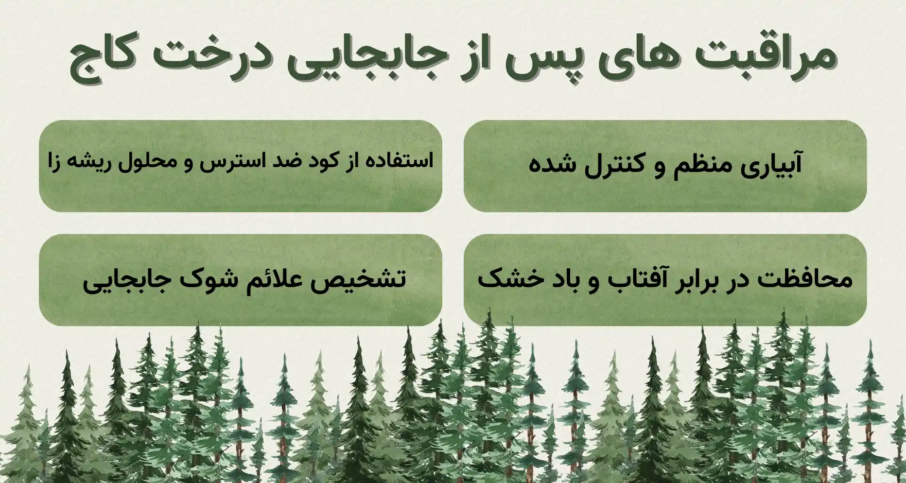مراقبت های پس از جابجایی درخت کاج